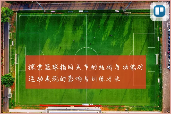 探索篮球指间关节的结构与功能对运动表现的影响与训练方法