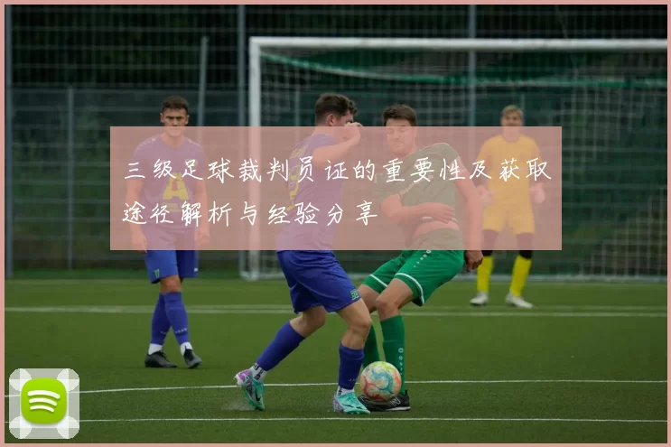 三级足球裁判员证的重要性及获取途径解析与经验分享
